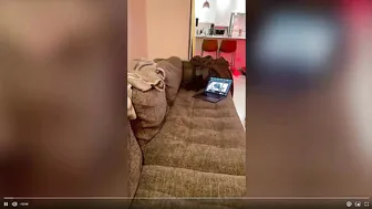 Quinn Finite Onlyfans Anal