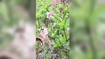 Ashe Maree (1)  hooker stimulating on river representing you