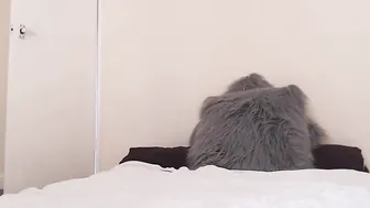 KittyCashew Charming pregnant