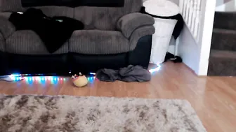 Ninkasip Blonde female made privat with a toy