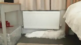 LilyPink elegant fuck with trouble-free woman