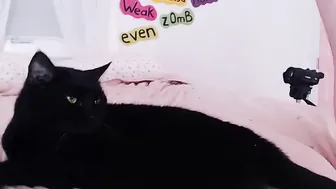 nataliagrey  jerking off his pink cap