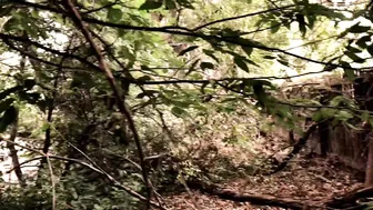 StefanieJoy manyvids seductive babe shows boobs