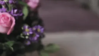 Ashe Maree manyvids girl with big shapes