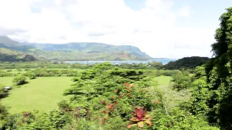 Pixiepixelized, Pixie Pixelized  manyvids scene 23.09.2019