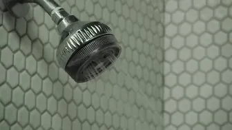 Brandi Love, Lexi Belle, Madison Ivy, Veronica Avluv manyvids private video 26.10.2019