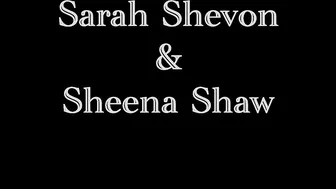 Sheena Shaw manyvids adult sex chat