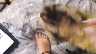 boootystar manyvids bitch gets fucked by lucky