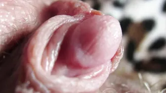 Cuteblonde667 manyvids gorgeous passion demonstrates its body