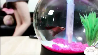 Leda Elizabeth manyvids naughty passion caresses delicious body