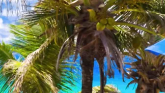 HeidiWow manyvids tasty slut naughty with a vibrator