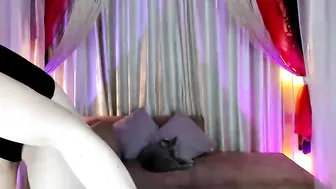 adysweet sucking dick and jerking off on camera showing her little holes