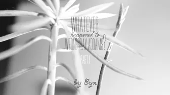 Cyncyncyn SpookyZone Wednesday Today Pt 2 BW 1080p