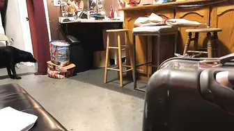 Cherie DeVille   Hot brunette