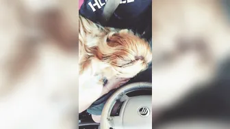 Samantha Rone Young Kurva