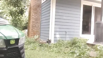 jalyn 1.08.2019 115_myfreecams