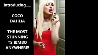 Tia Tizzianni TS BIMBO TRANSFORMATION COCO DAHLIA
