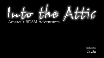 INTO THE ATTIC  _0179_Zayda_RT9_1