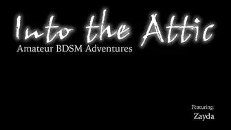 INTO THE ATTIC  _0049_Zayda_RT1_6