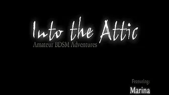 INTO THE ATTIC  _0027_Marina_RT0_3