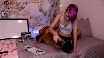 mohawkmolly 619_female_chaturbate