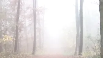 Sharon-Privat Auf dem Burgturm gefickt