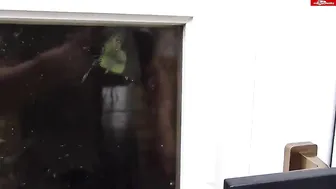 mydirtyhobby Bibixxx Heftiges Squirt- Erlebnis! Unglaublich GEIL! 03.10.2014