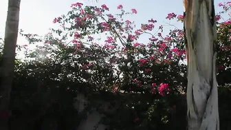 lil olivia fortnite girl seduces amp sucks the squad 720p