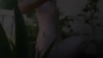 jilliandrake fairy garden o 720p