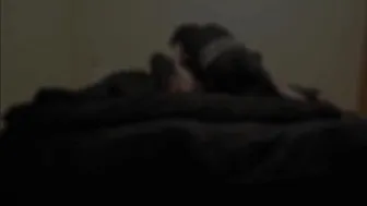 cattie 1st sex tape 720p