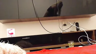 jessica 9871 7.05.2020 300 female chaturbate