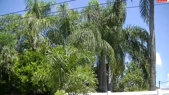 Popp-Sylvie - Dose voll drin - Extremdehnung