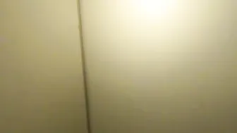 NastyBrea - Toiletten Fick