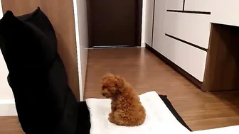 yeu_asian 5.04.2020 437_female chaturbate HD record