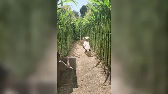 onlyfans riley reid _5dccb8da6beb05ca3f6cc