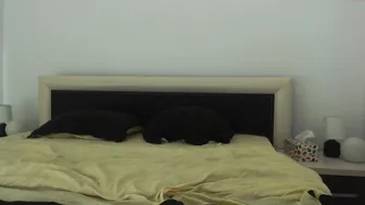 18forporn 5.52.020 53 female chaturbate