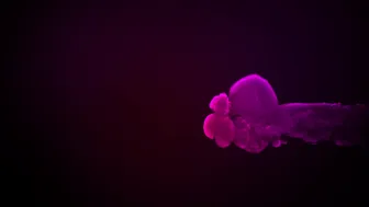 Throat2Glory - Shaiden Rogue is Such a Cute Teen Slut