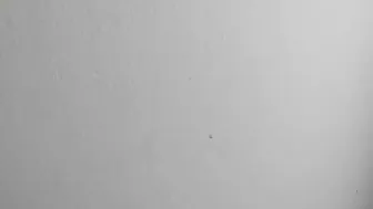 cum friends 14062020 0706 couple chaturbate