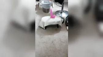 Eva Notty onlyfans multi-tasking 2019-07-12