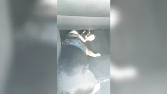 Eva Notty onlyfans road trip with my main man! 2019-05-24