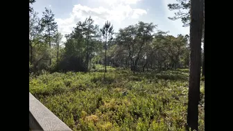 Aryana Augustine onlyfans [1359902] New Video!!!! ????he Park????[2018 04 16]