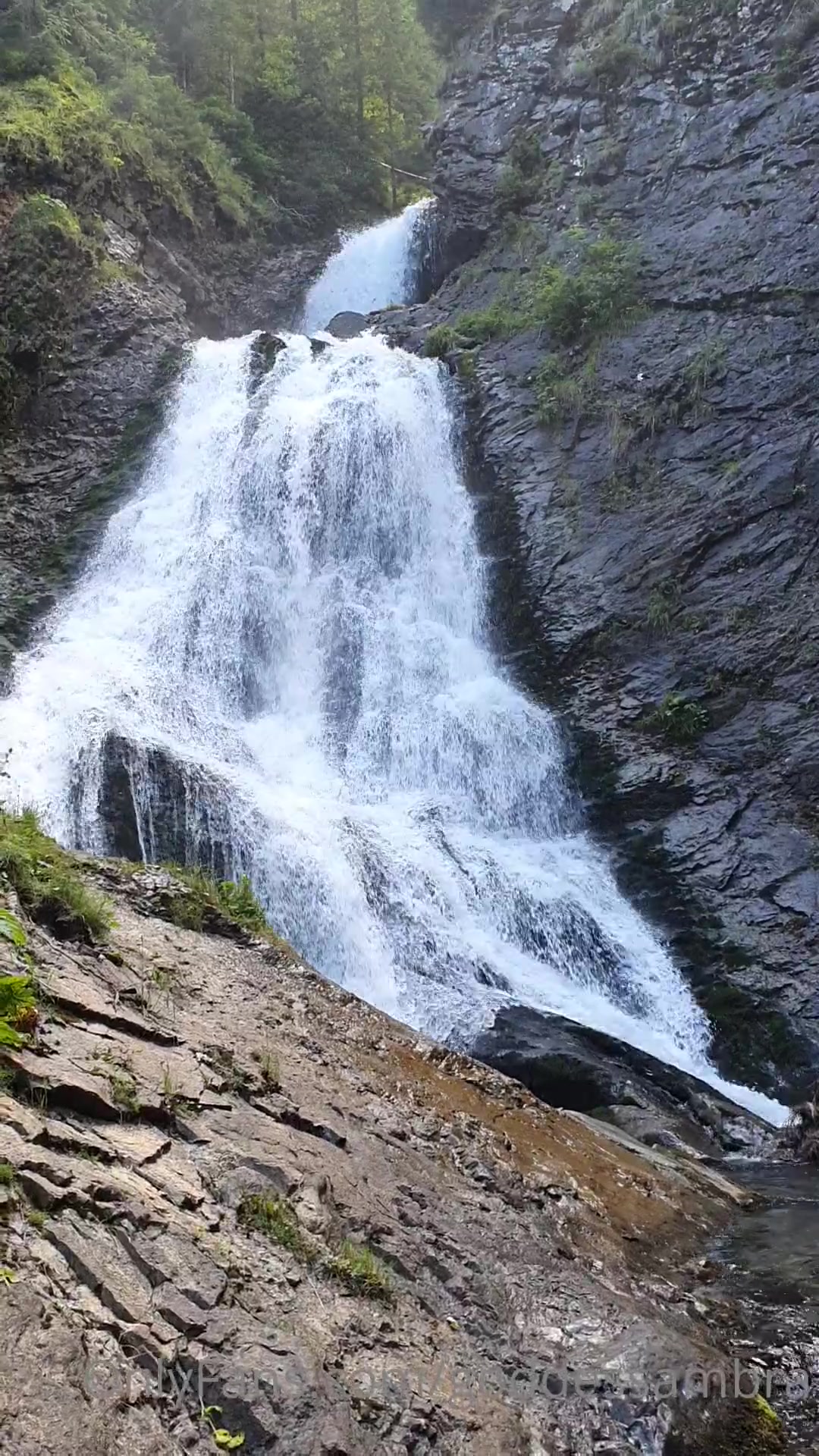 Goddess Ambra onlyfans_03-08-2020-If you love to see Me happy keep a