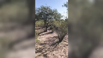 hotwiferio 01.11.2019 13301906 More videos