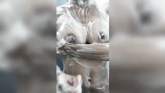 maya1411 06.01.2020 18131577 Shower 06