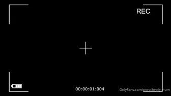 porscheplatinum 4128845233