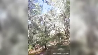 sexymatureaussielady 12 04 2020 31413094 Stream started at 04 12 2020 10 08 pm