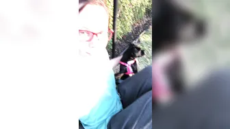 aidrafoxx 21 02 2018 1822391 At the dog park with Luna )