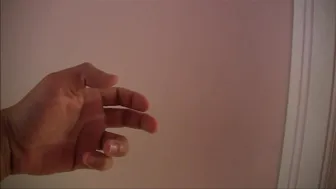 Sandra Latina _The Cinco De Mayo Home Wrecker