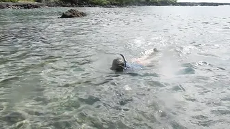 zoebloomxxx 24 11 2018 3865977 Snorkeling fun in Hawaii