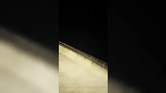 lizzysteezy 04.05.2020 Twerkin